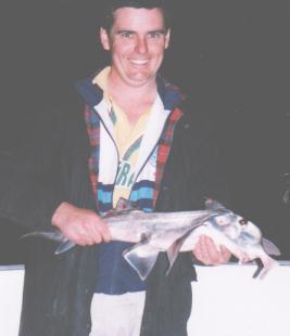 elephant shark 1.2 kilos